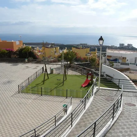 Pardela * Costa Adeje (Tenerife)